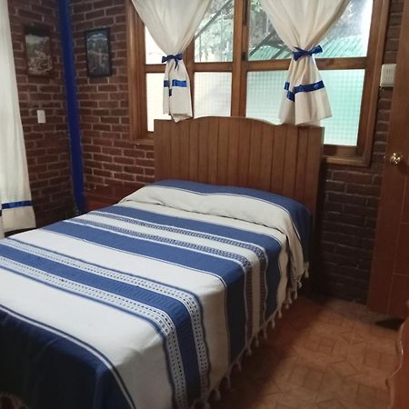 Coyoacan Departamento Tipo Colonial Μεξικό Εξωτερικό φωτογραφία