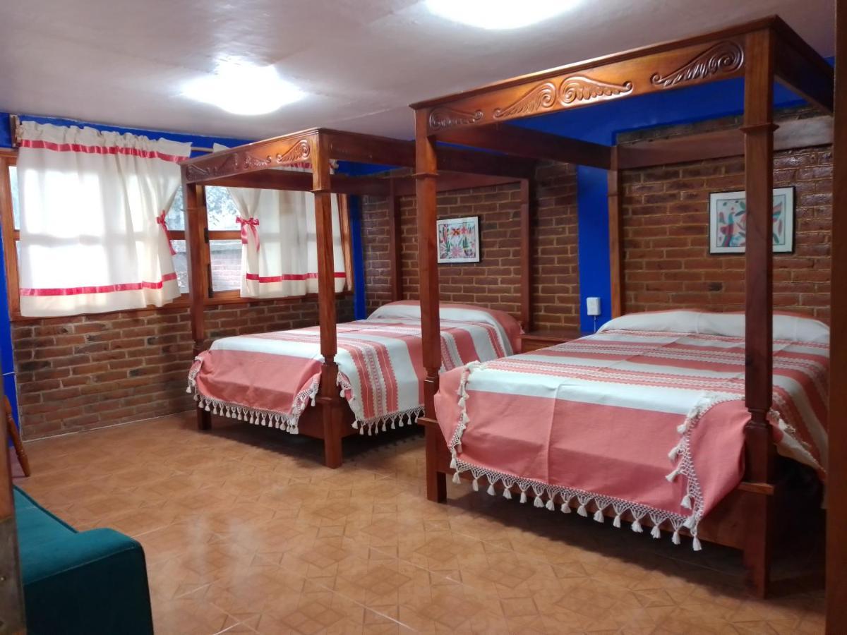 Coyoacan Departamento Tipo Colonial Μεξικό Εξωτερικό φωτογραφία