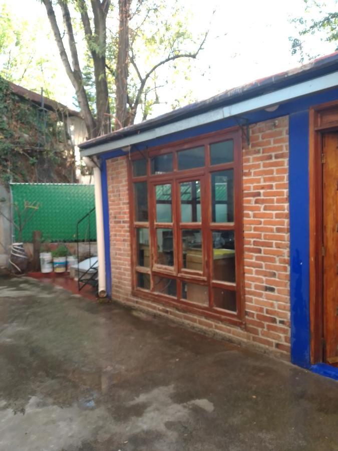 Coyoacan Departamento Tipo Colonial Μεξικό Εξωτερικό φωτογραφία