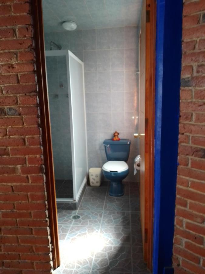 Coyoacan Departamento Tipo Colonial Μεξικό Εξωτερικό φωτογραφία