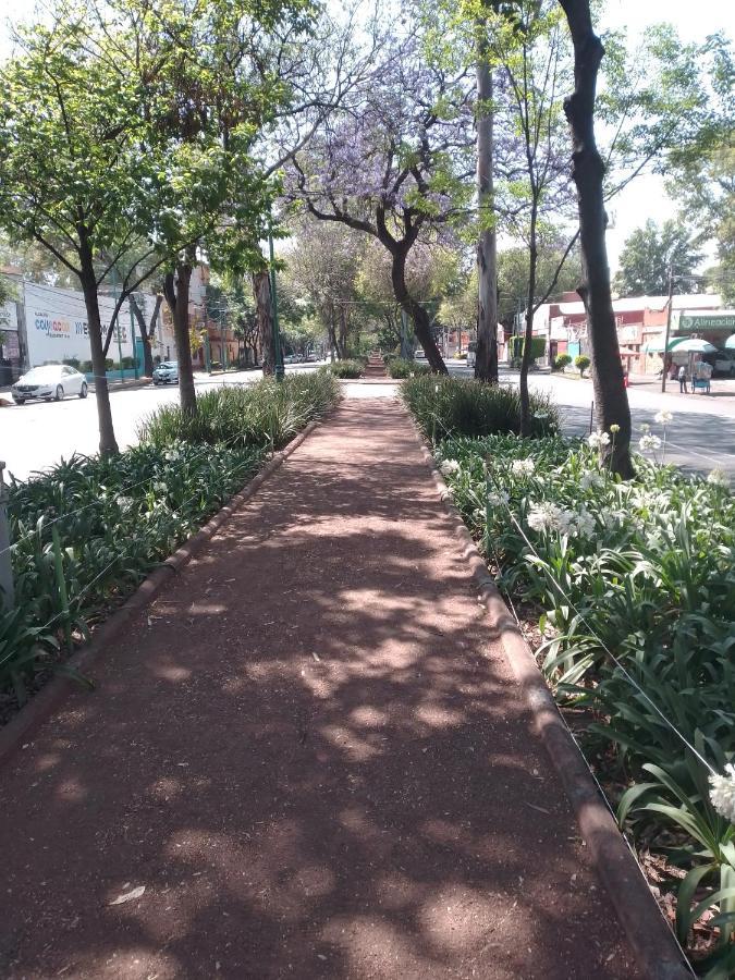 Coyoacan Departamento Tipo Colonial Μεξικό Εξωτερικό φωτογραφία